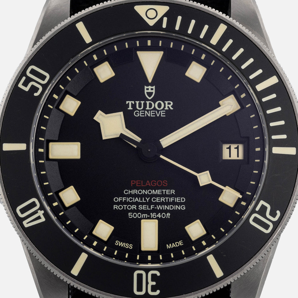 Tudor Pelagos 25610 5
