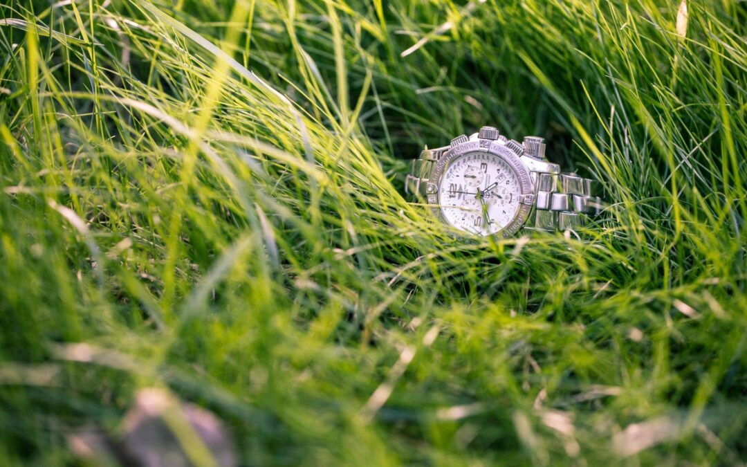 When Grizzly Bear Hunting Goes Wrong, the Breitling Emergency Helps