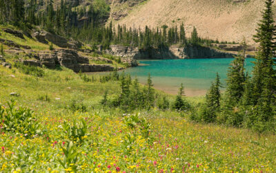 10 and 2: The “Crown of the Continent”