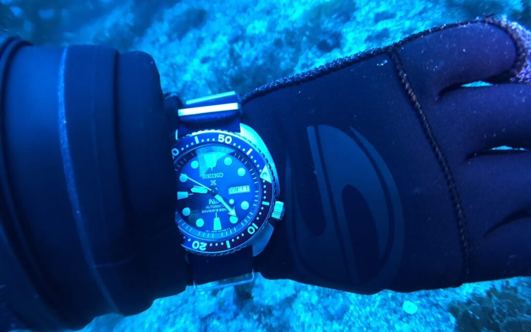 Dive Watch 101