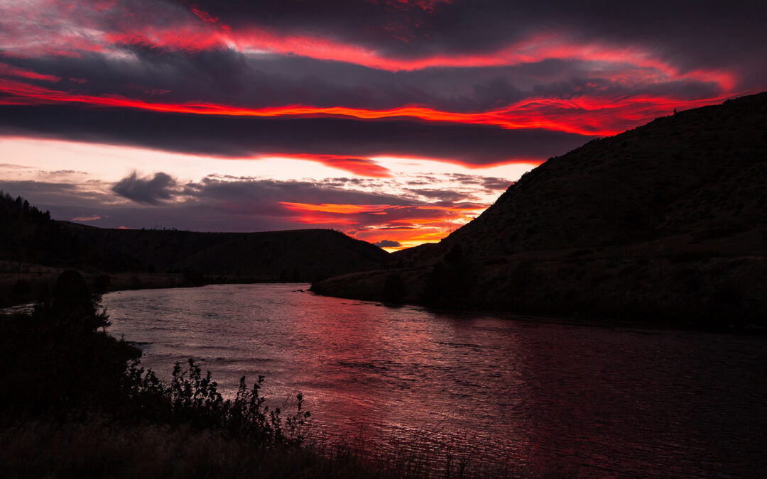 10 and 2: Bear Trap Beckons