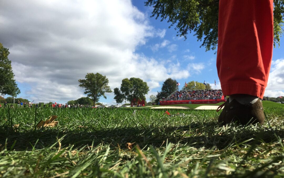 The Ryder Cup You May Not Know