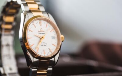 The OMEGA Seamaster Aqua Terra