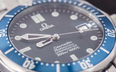The OMEGA Seamaster Professional
