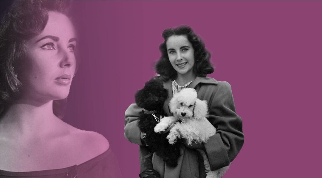 Profiles in Time: Elizabeth Taylor
