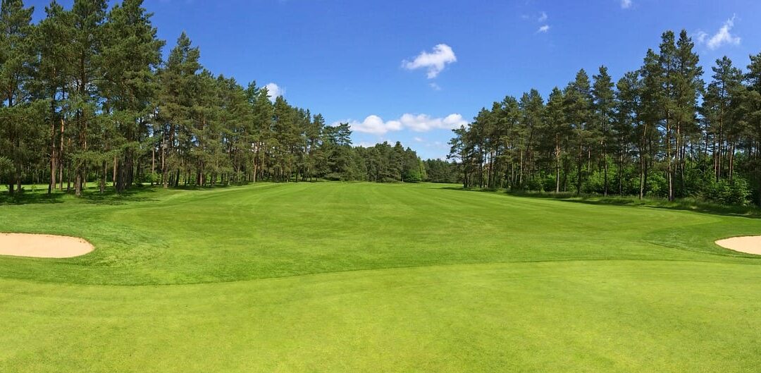 The 2019 PGA Championship