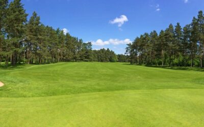 The 2019 PGA Championship