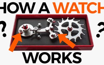 How a Watch Works | 101