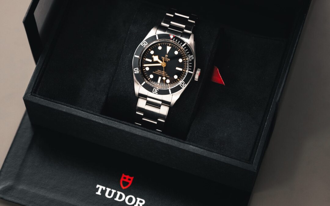 The Tudor Black Bay 79230n