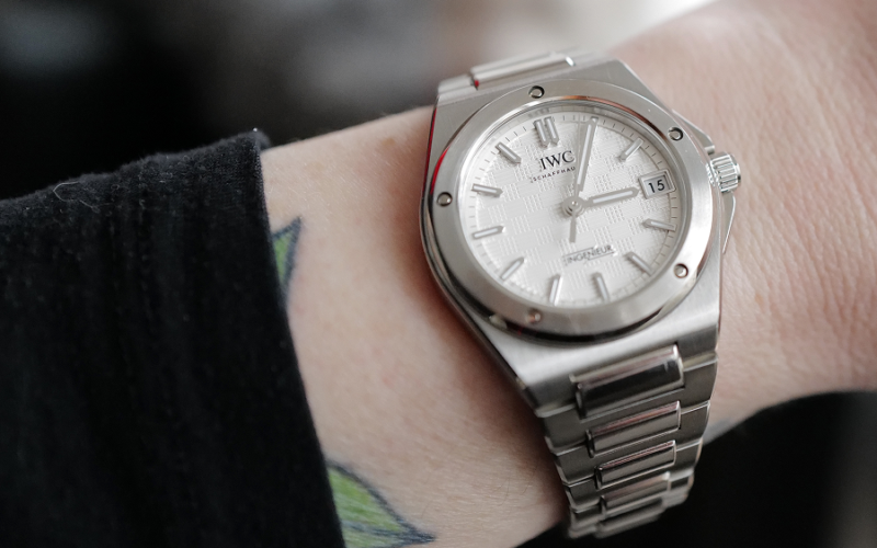 The Other Best in Show