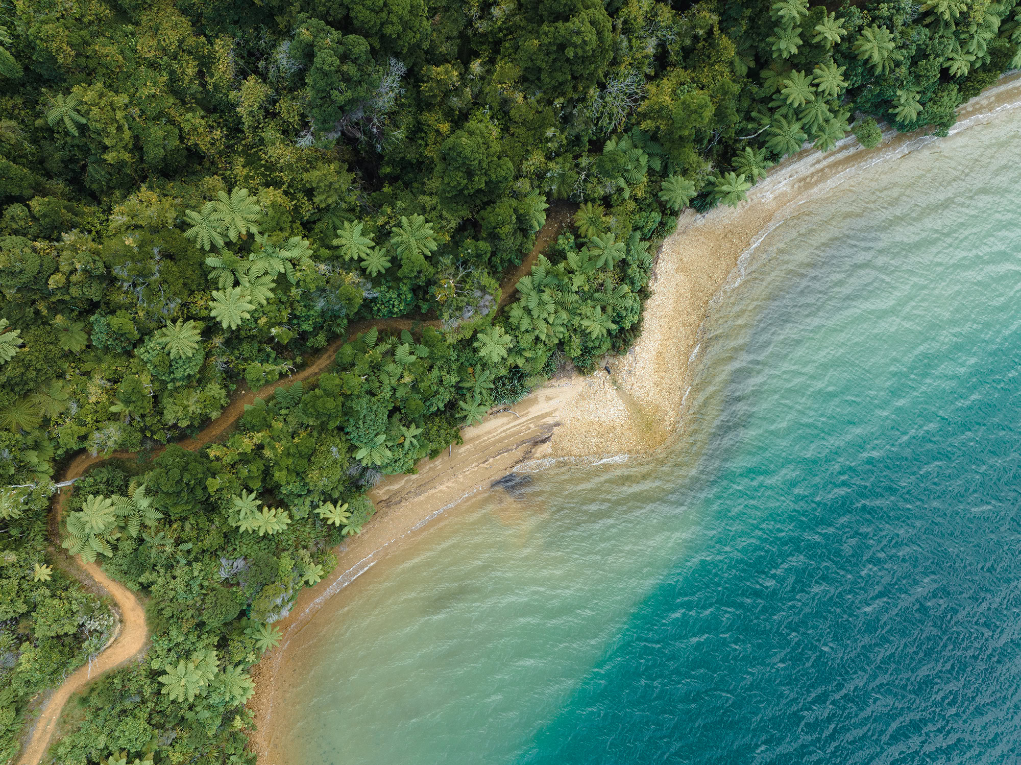 Tropical beach, drone shot.