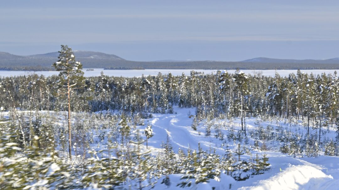 Cold Track, Hot Take: The i3 Makes Its Case on Ice.